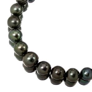 ^q`^ 11.0-14.5mm AlbNXyiۏ؏/ӕʏtz